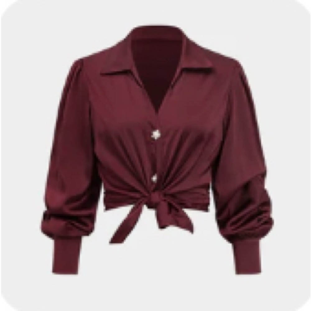 Solid Satin Button Long-Sleeve Shirt in Burgundy